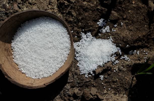 تصویر 3 از خرید کود سولفات آمونیوم با خلوص بالا + قیمت فروش استثنایی